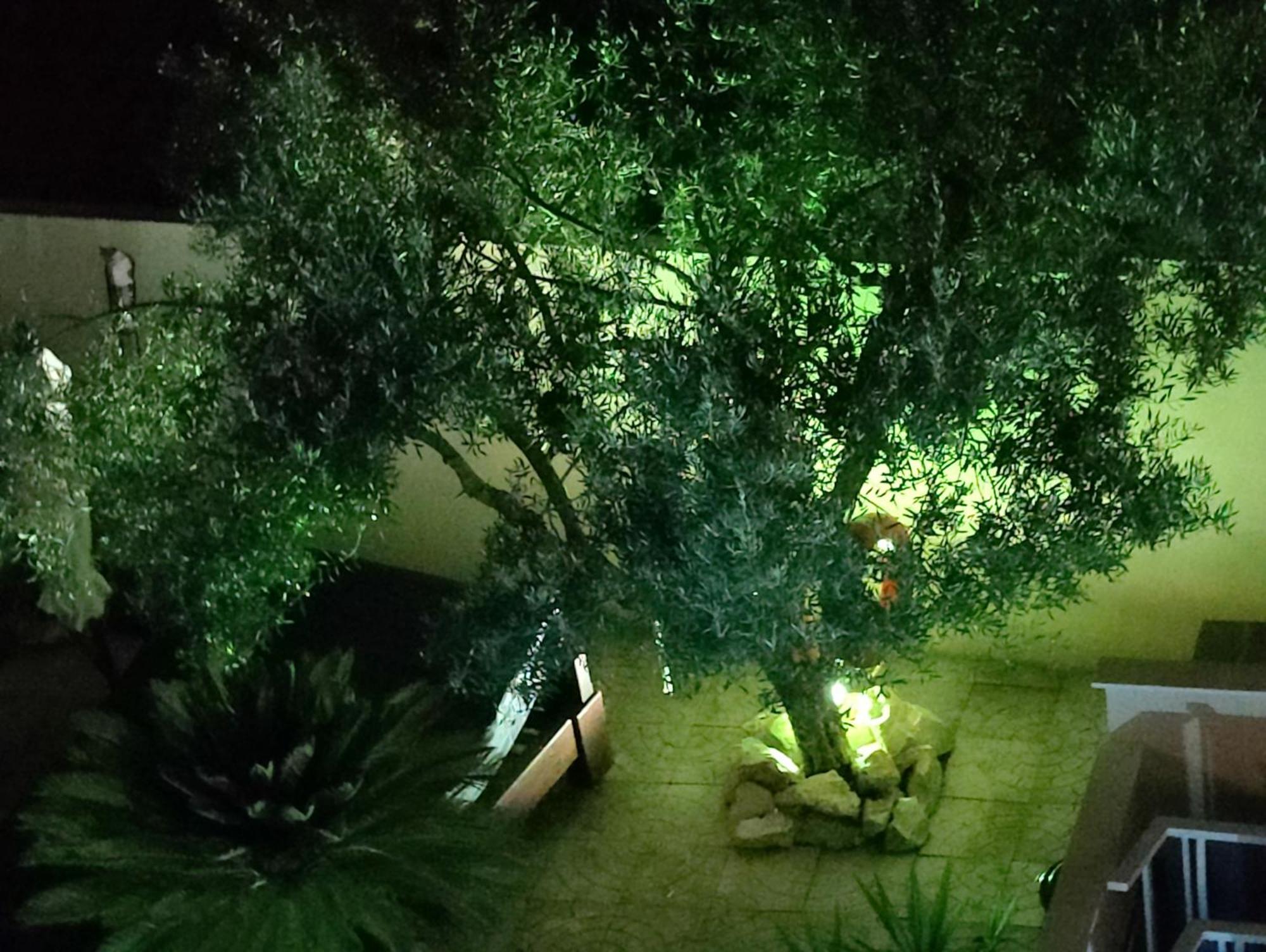 Apartments Villa A - Heating Pool Trogir Exterior foto